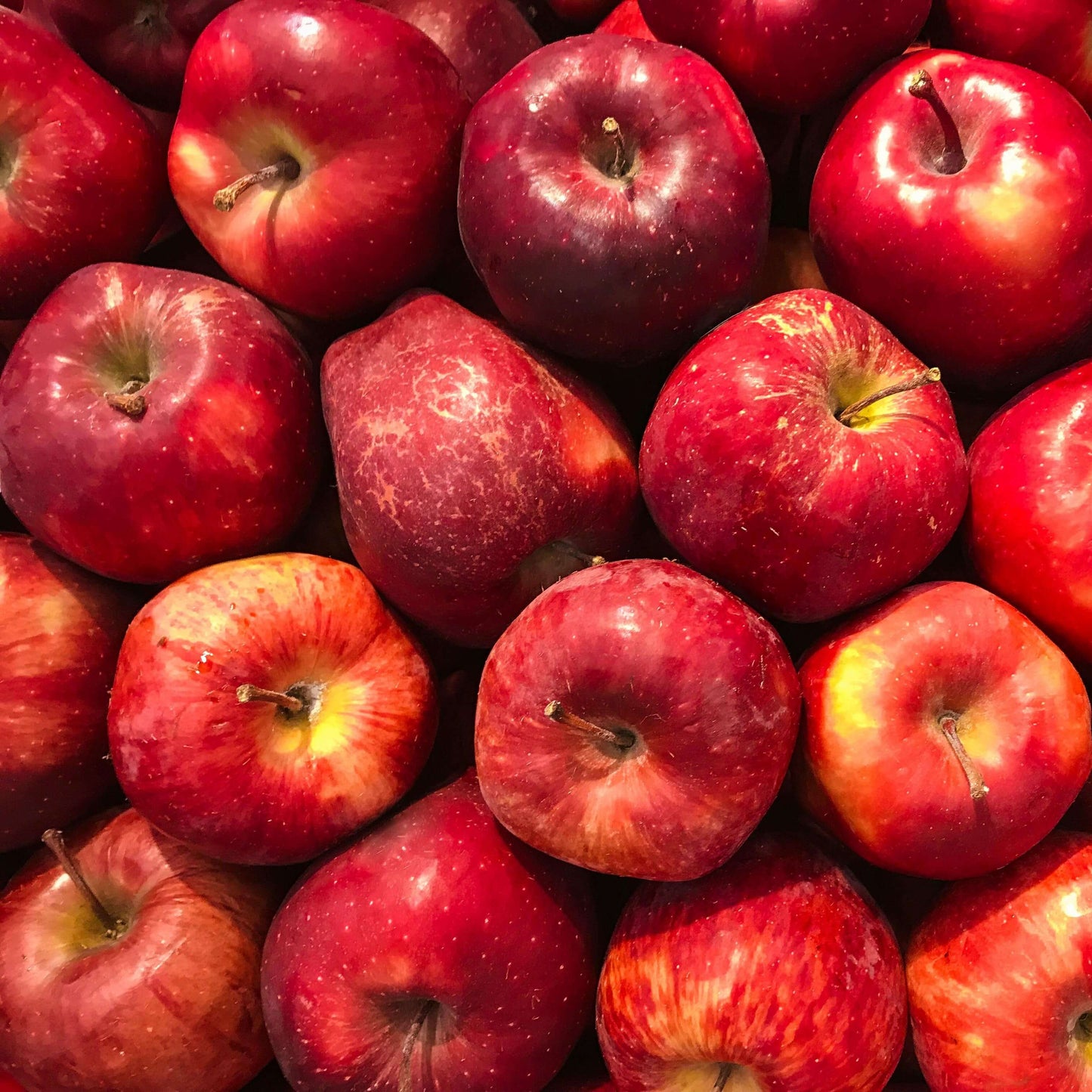 Apples 1.5kg