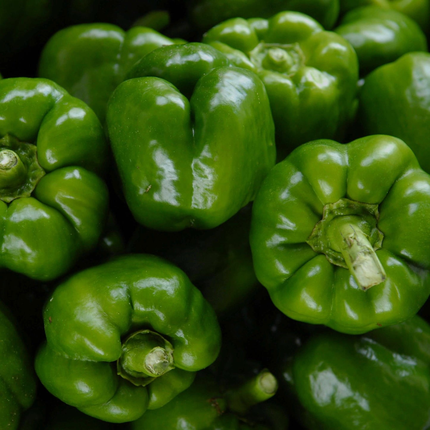Green Peppers x4