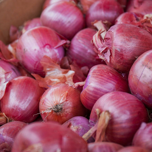 Red Onions 1kg